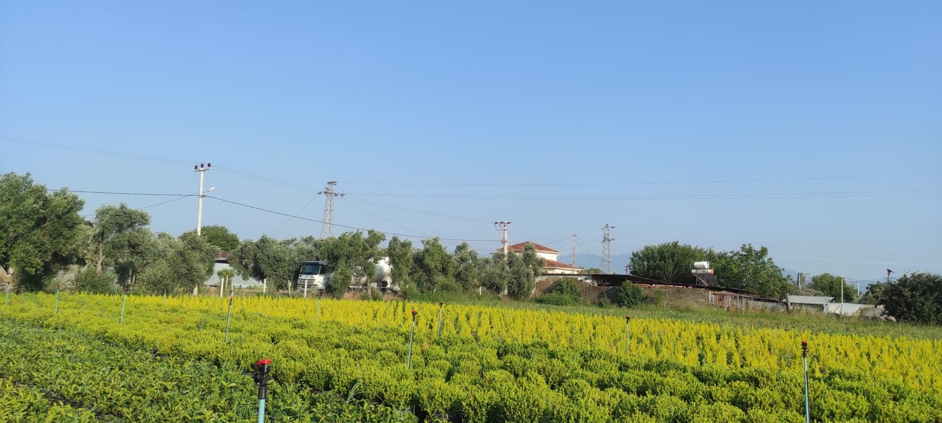 Fidanlık panorama